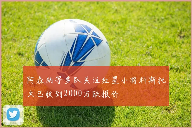 阿森纳等多队关注红星小将科斯托夫已收到2000万欧报价