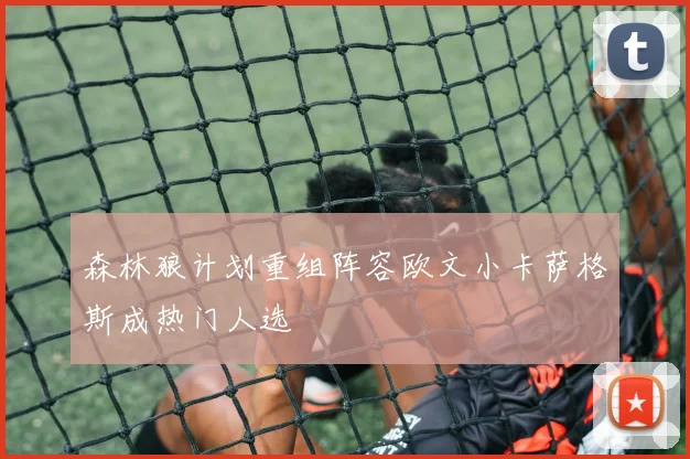 森林狼计划重组阵容欧文小卡萨格斯成热门人选
