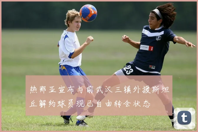 热那亚宣布与前武汉三镇外援斯坦丘解约球员现已自由转会状态